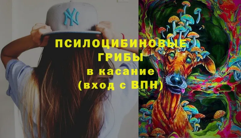 площадка формула  где купить   Балахна  Галлюциногенные грибы Magic Shrooms  blacksprut ТОР 